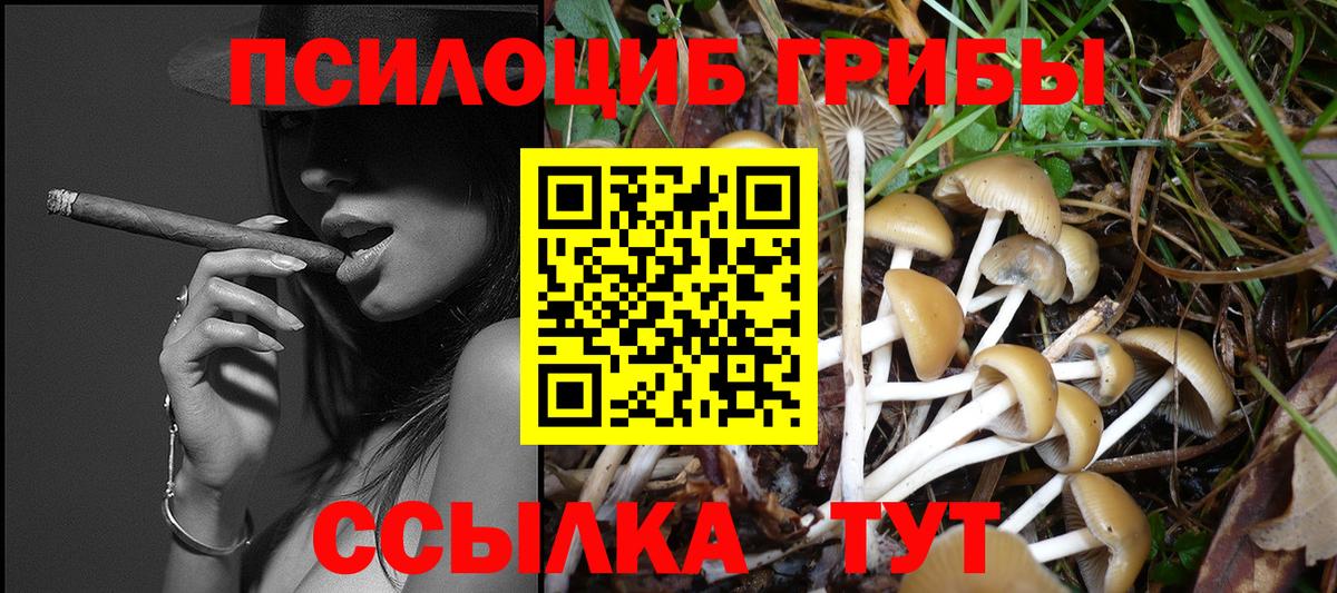 Псилоцибиновые грибы MAGIC MUSHROOMS Пугачёв