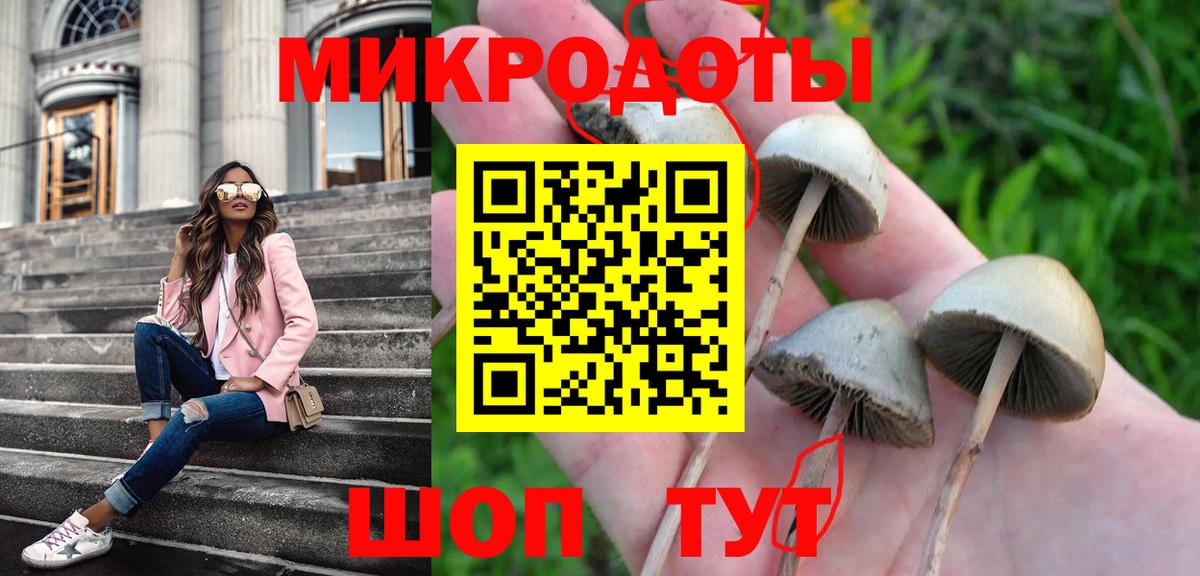 где можно купить наркотик  Вход с VPN  Пугачёв  Галлюциногенные грибы мицелий  Псилоцибиновые грибы ЛСД 