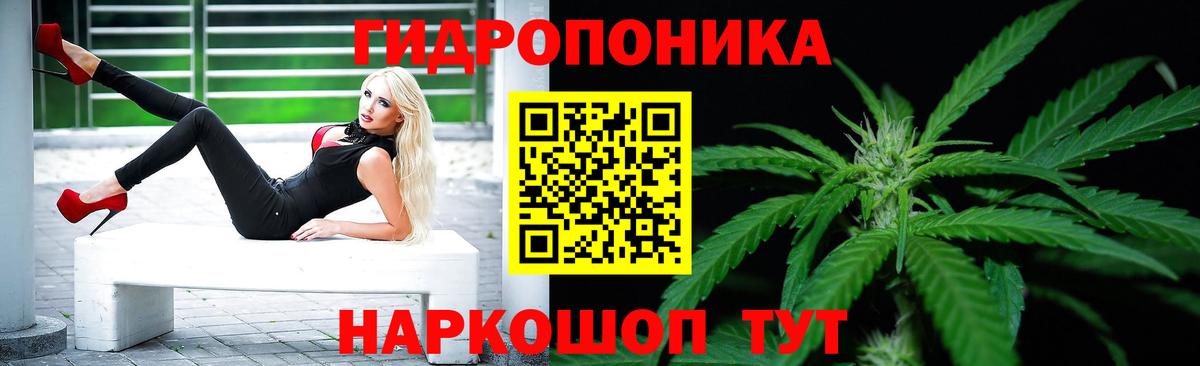 Меф Пугачёв